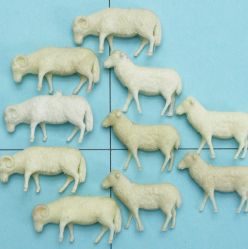 10 Schafe