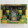 Set Raphael and Michelangelo, TMN Turtles, Neca