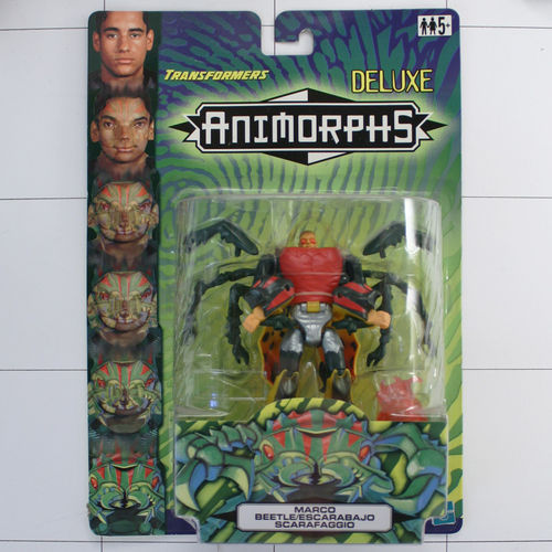 Marco, Beetle, Transformer, Animorphs, Hasbro