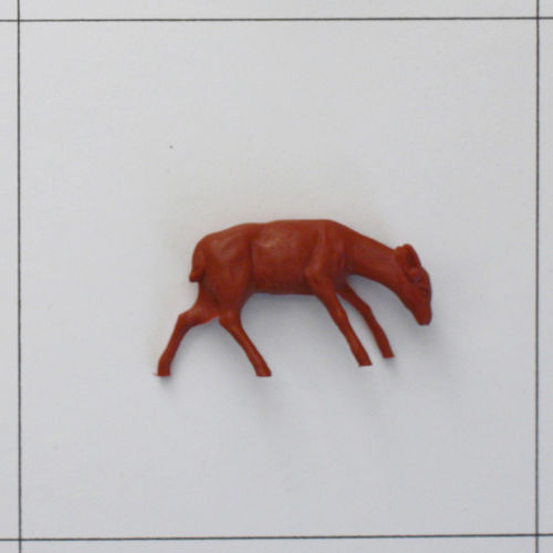 Hirschkuh, Kopf gesenkt, Rot, Texas-Ranch, Europäische Wildtiere
