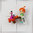 Pebbles mit Dino, Flintstones, Wind Up, Wackelfigur, Beley Toys